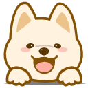 网站动态